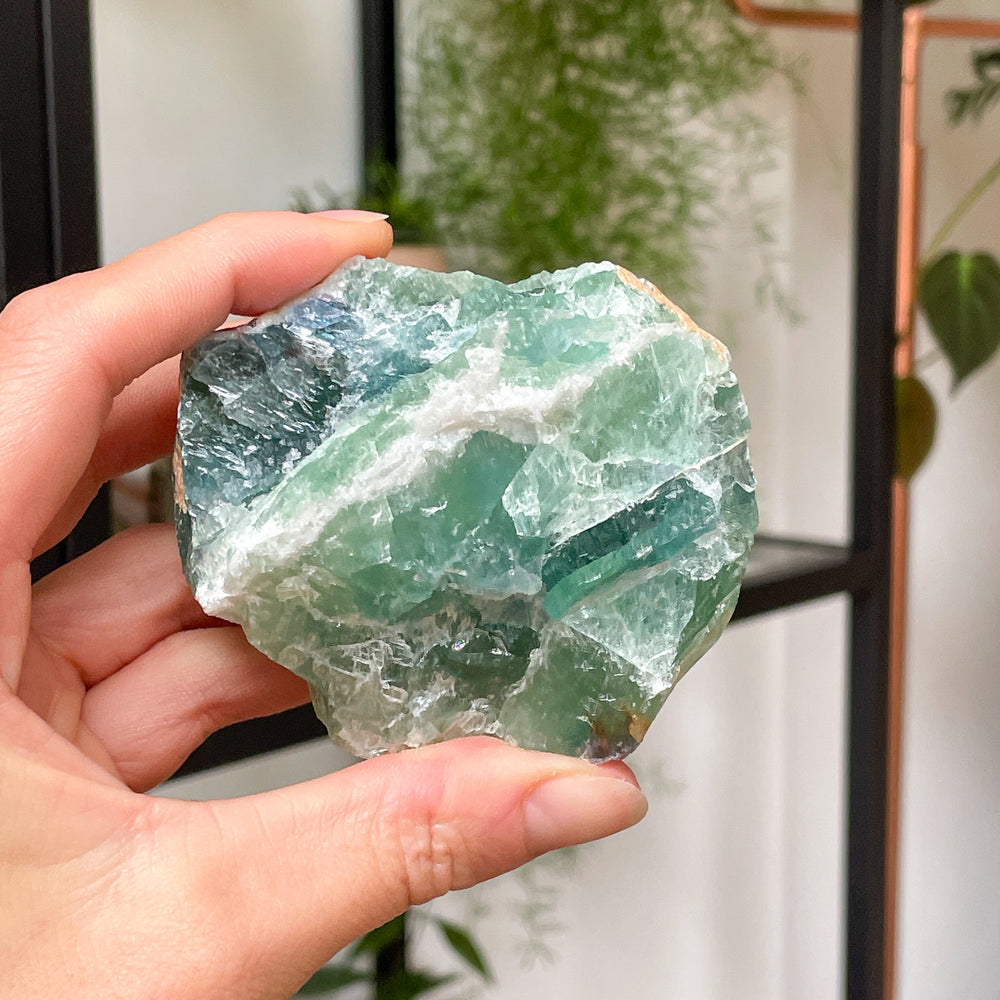 fluoriet regenboog ruwe steen brok edelsteen cluster mineralen