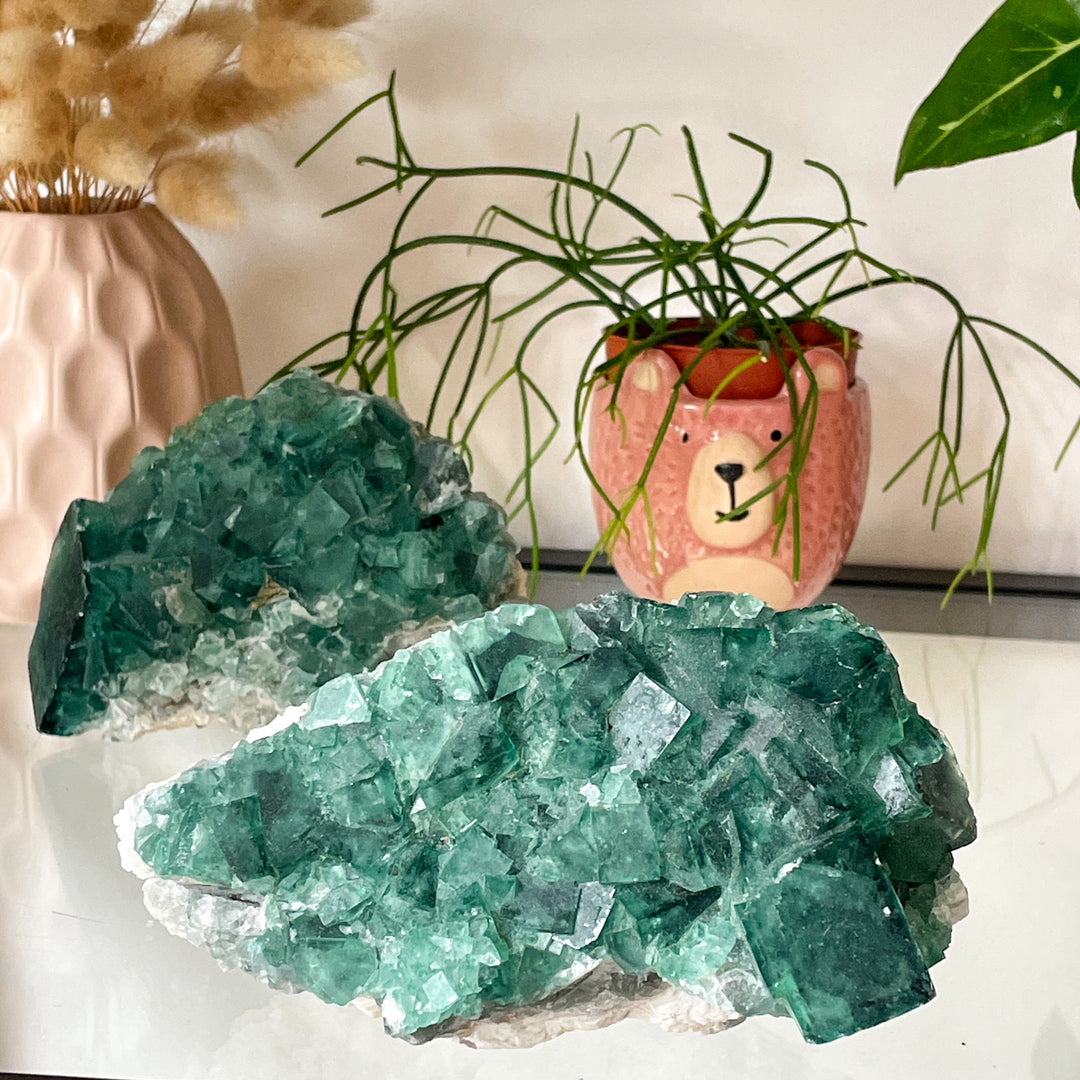 fluoriet groene cluster ruwe steen brok uv reactief mineralen