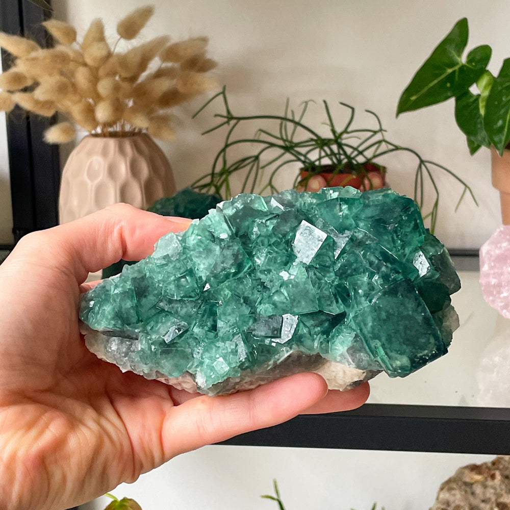 fluoriet groene cluster ruwe steen brok uv reactief mineralen