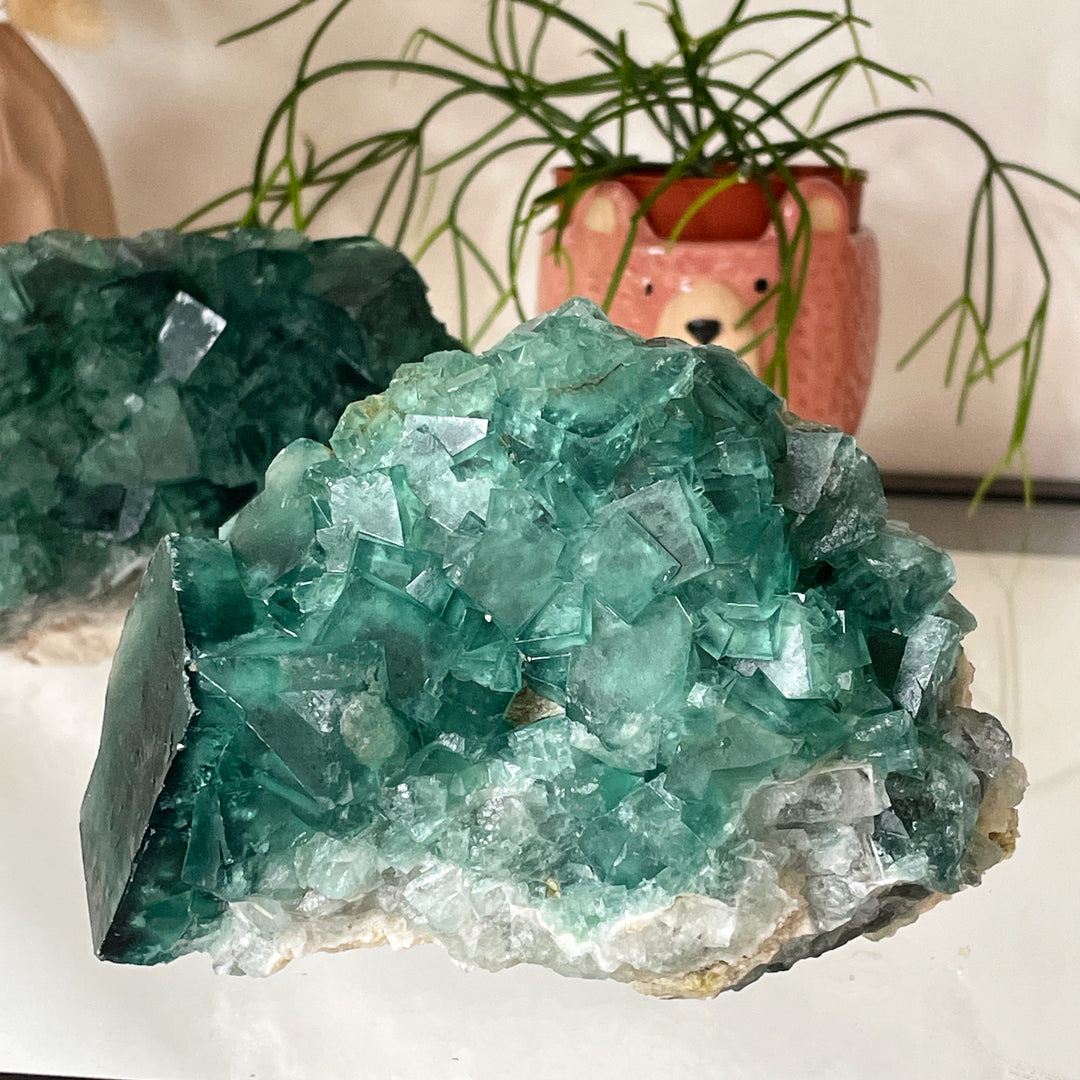 fluoriet groene ruwe steen brok edelsteen cluster mineralen