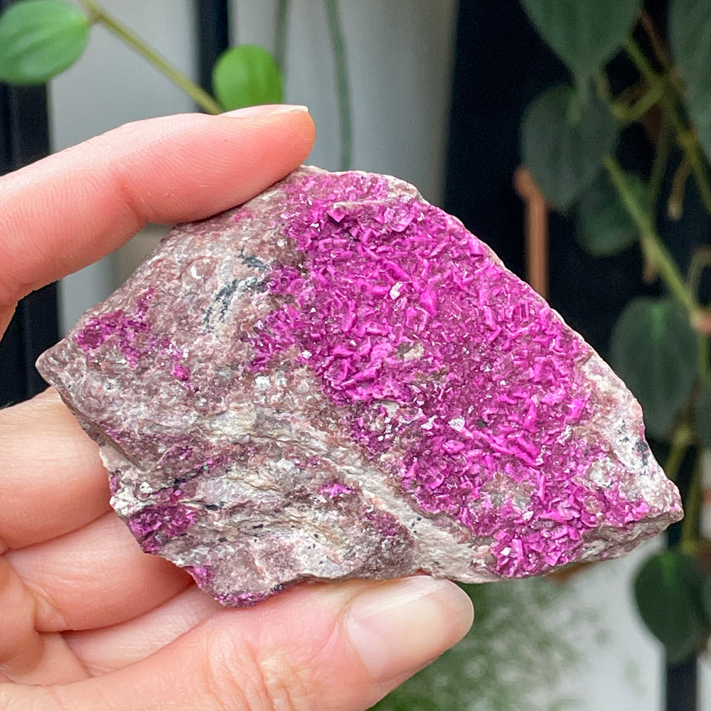 cobalto calciet fuchsia roze cluster ruwe steen brok mineralen