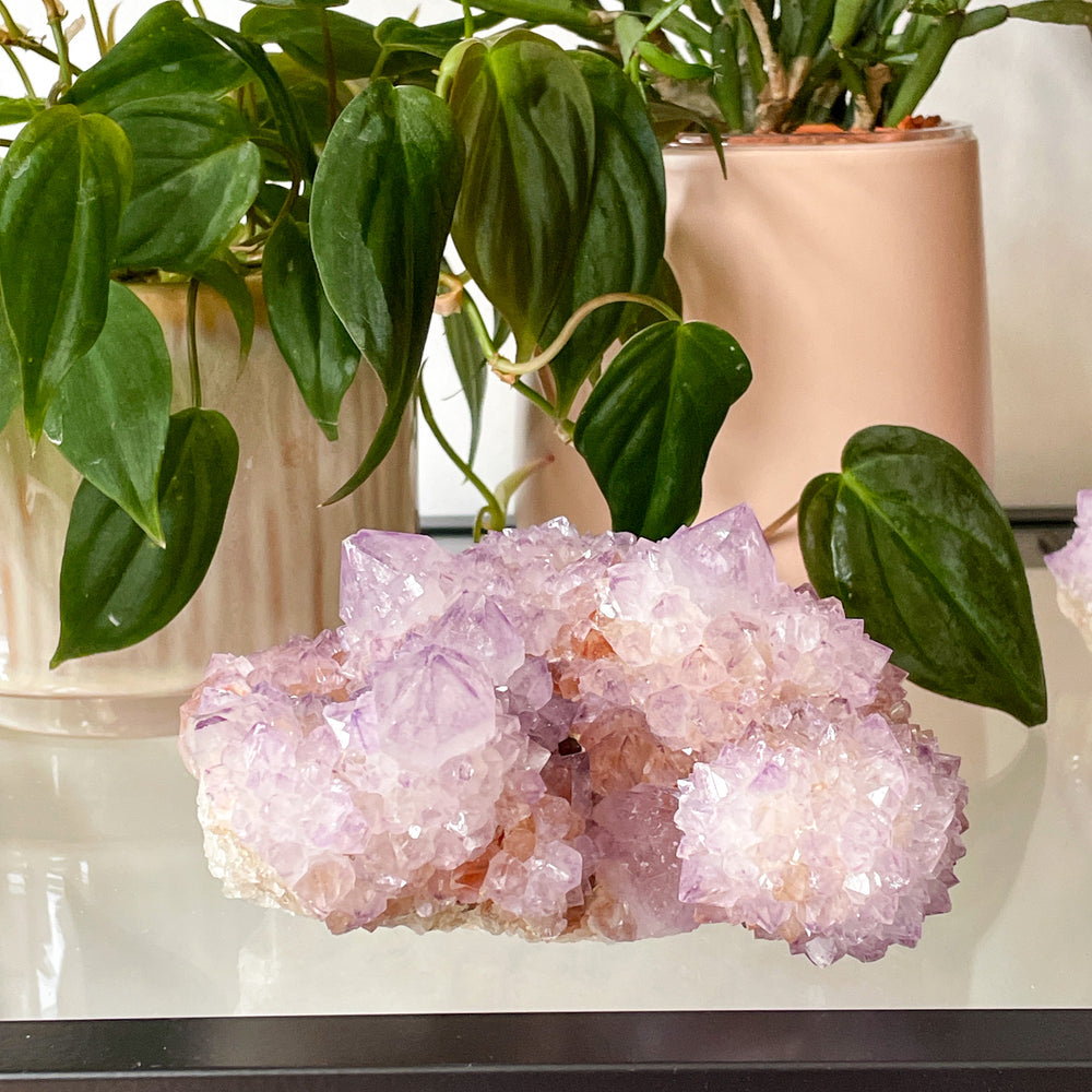 spirit kwarts cactus amethist cluster ruwe brok steen edelsteen mineralen