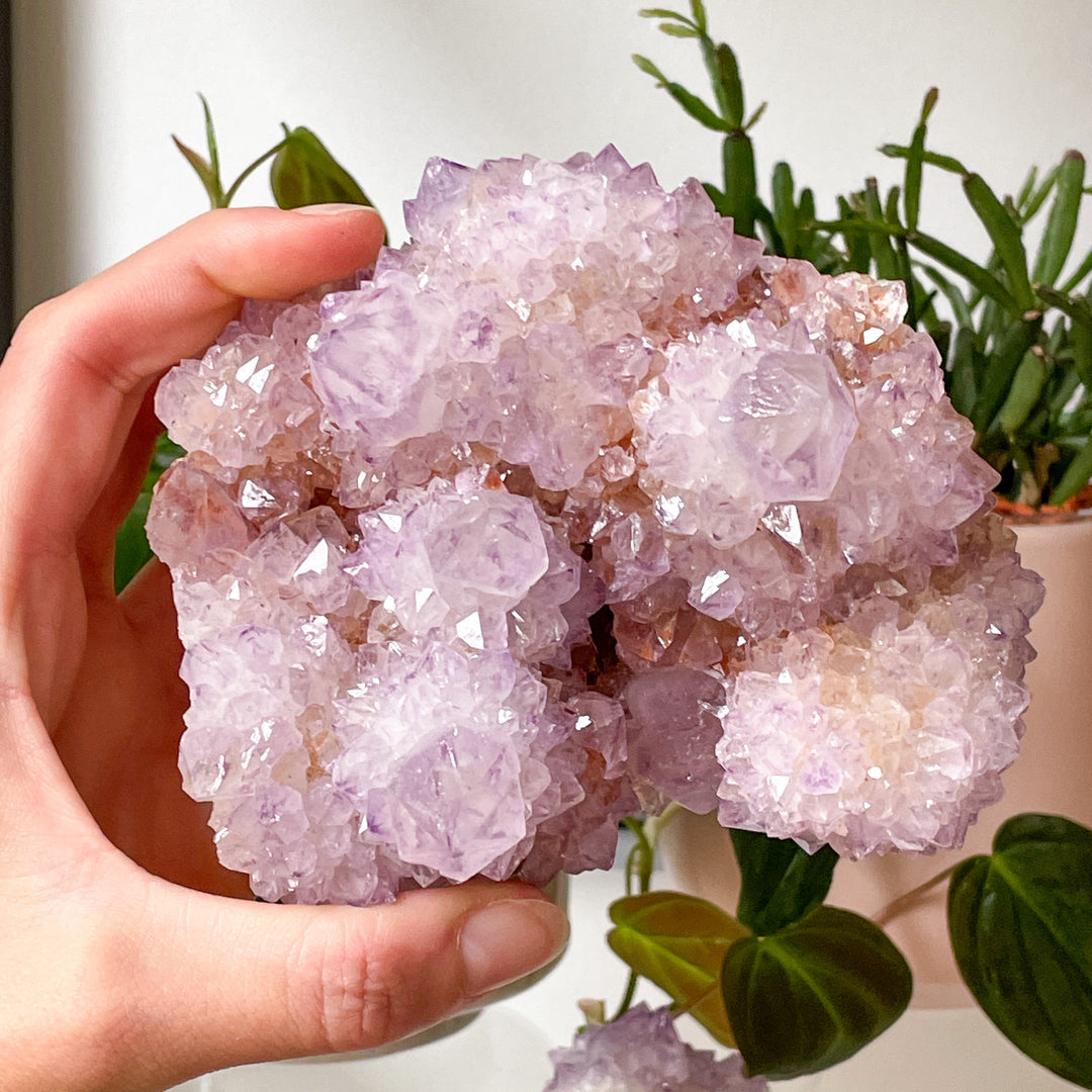 spirit kwarts cactus amethist cluster ruwe brok steen edelsteen mineralen