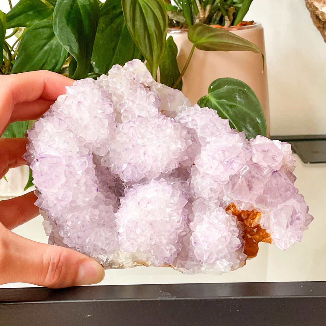 amethist cactus lila spirit quartz kwarts edelsteen mineralen ruwe steen cluster