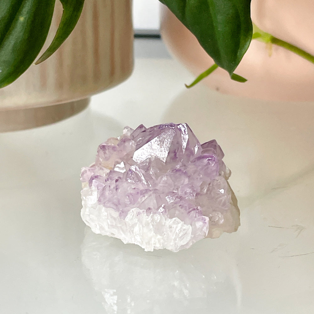 amethist cactus lila spirit quartz kwarts edelsteen mineralen ruwe steen cluster