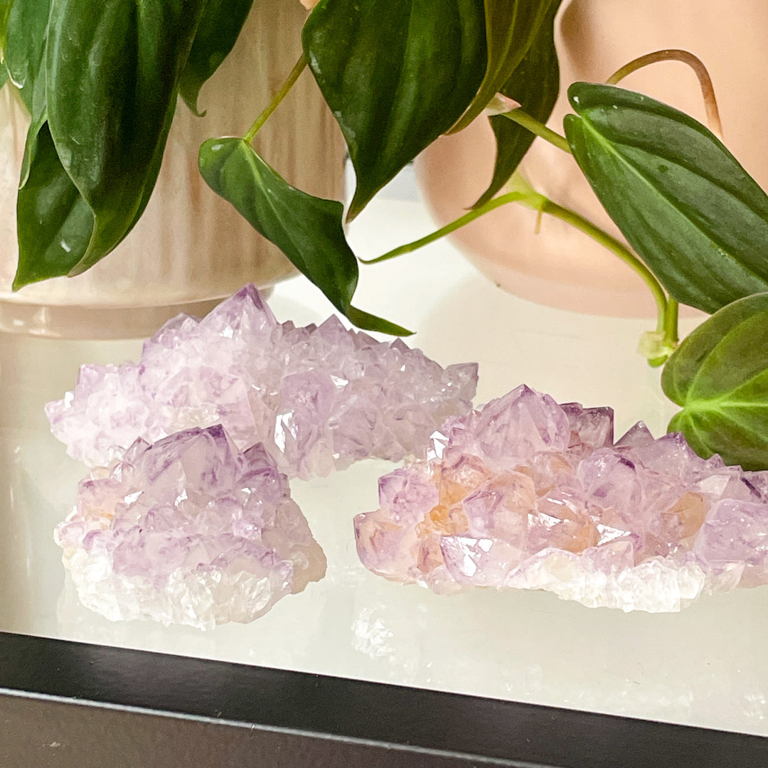 amethist cactus lila spirit quartz kwarts edelsteen mineralen ruwe steen cluster