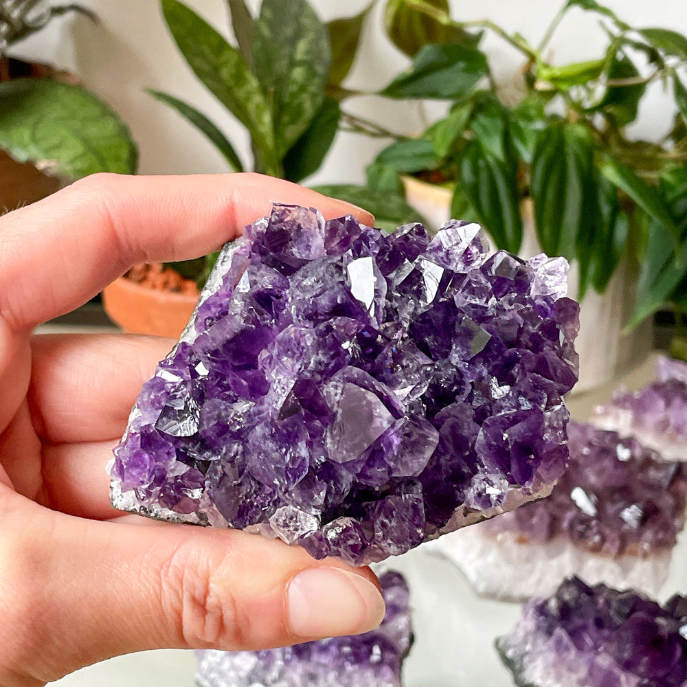 amethist paarse cluster ruwe steen brok mineralen edelsteen edelstenen