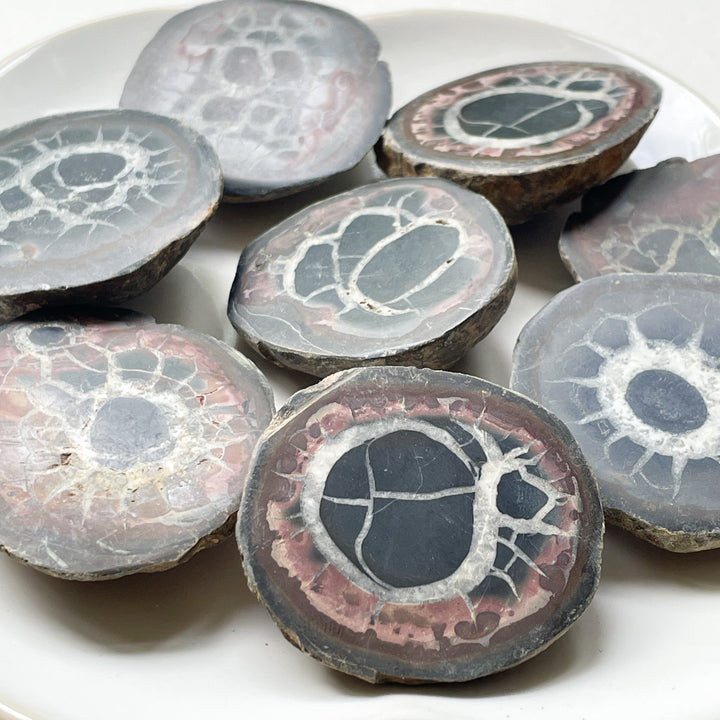 septarie bruine zwarte geode gepolijst ruwe steen edelstenen mineralen fossiel