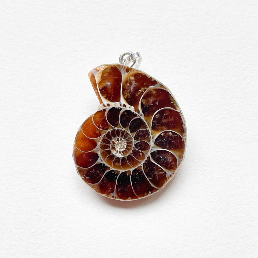 ammoniet edelsteen hanger edelsteenhanger juweel sieraad 925 sterling echt zilver