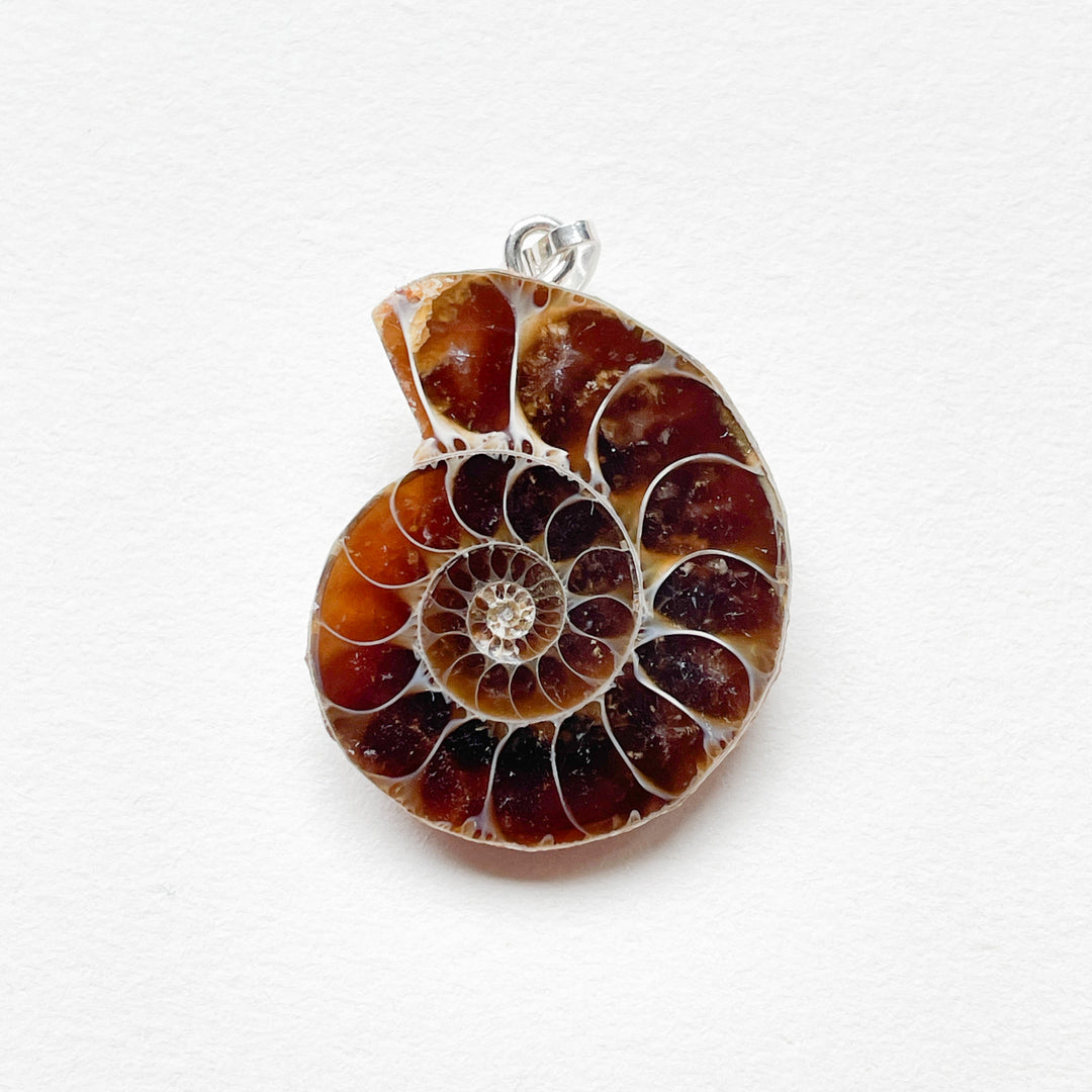 ammoniet edelsteen hanger edelsteenhanger juweel sieraad 925 sterling echt zilver