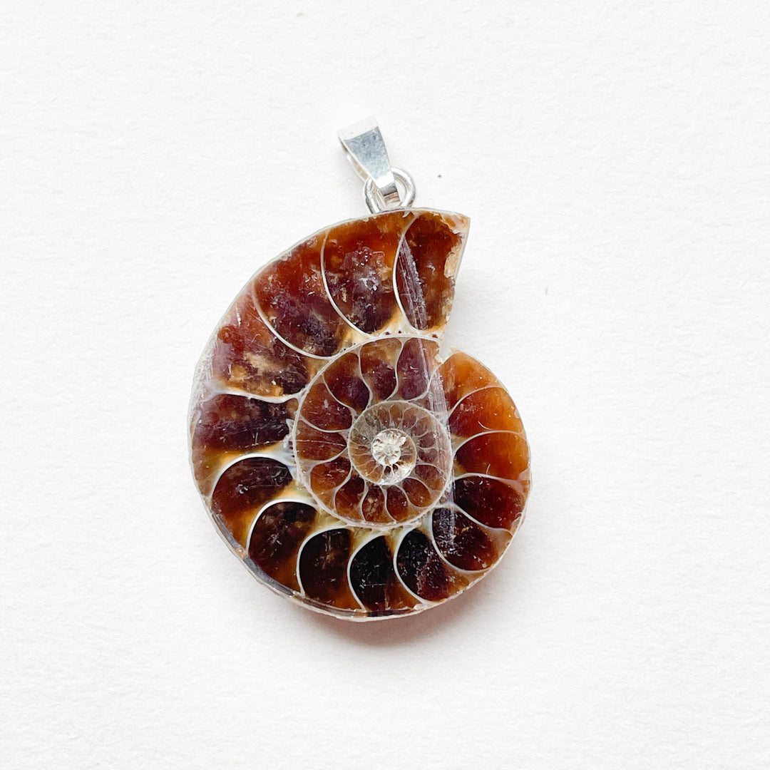 ammoniet edelsteen hanger edelsteenhanger juweel sieraad 925 sterling echt zilver
