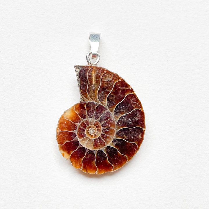 ammoniet edelsteen hanger edelsteenhanger juweel sieraad 925 sterling echt zilver
