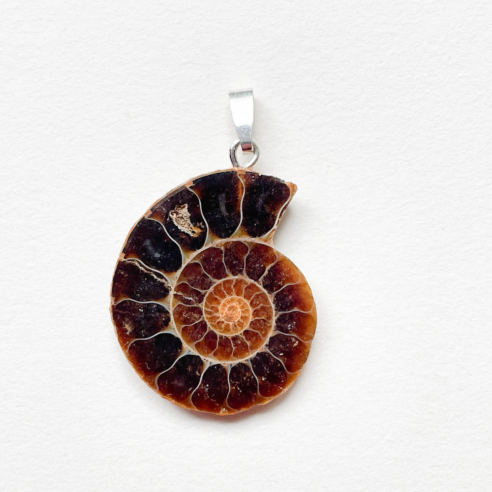 ammoniet edelsteen hanger edelsteenhanger juweel sieraad 925 sterling echt zilver