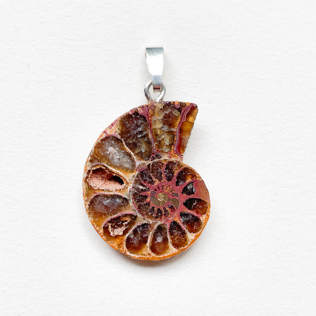 ammoniet edelsteen hanger edelsteenhanger juweel sieraad 925 sterling echt zilver