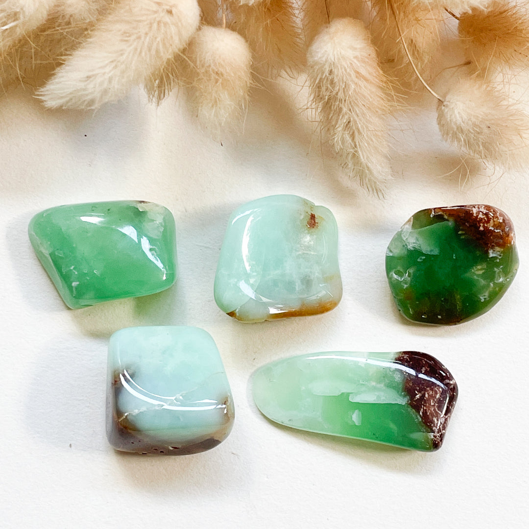 chrysopraas groene knuffelsteen trommelsteen edelsteen