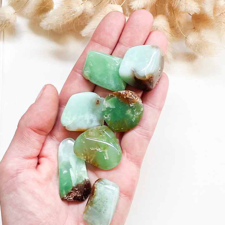 chrysopraas groene knuffelsteen trommelsteen edelsteen