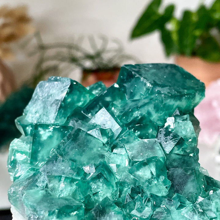 fluoriet groene cluster ruwe steen brok uv reactief mineralen