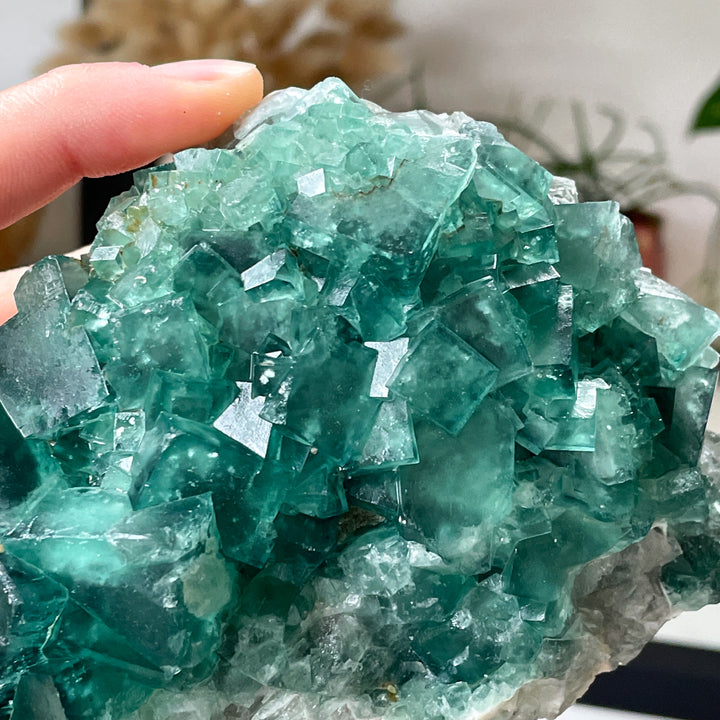 fluoriet groene ruwe steen brok edelsteen cluster mineralen