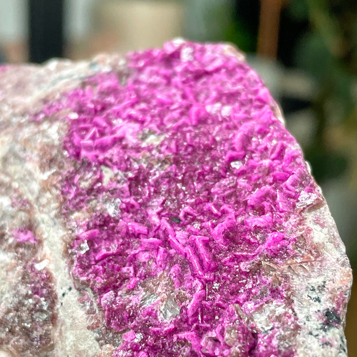 cobalto calciet fuchsia roze cluster ruwe steen brok mineralen