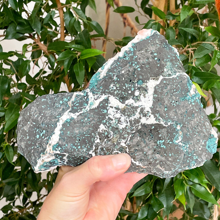 Heulandiet zalmroze geode met witte apofyliet en groene celadoniet edelsteen cluster ruwe steen mineralen