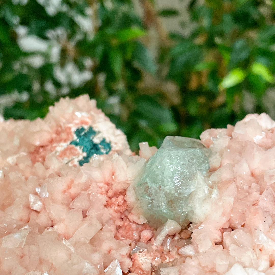 Heulandiet zalmroze geode met witte apofyliet en groene celadoniet edelsteen cluster ruwe steen mineralen