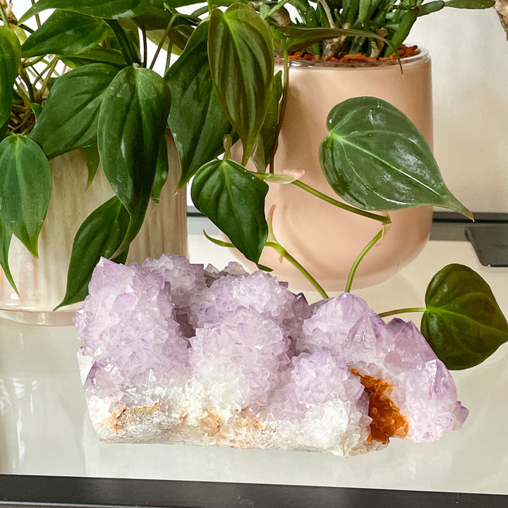 amethist cactus lila spirit quartz kwarts edelsteen mineralen ruwe steen cluster