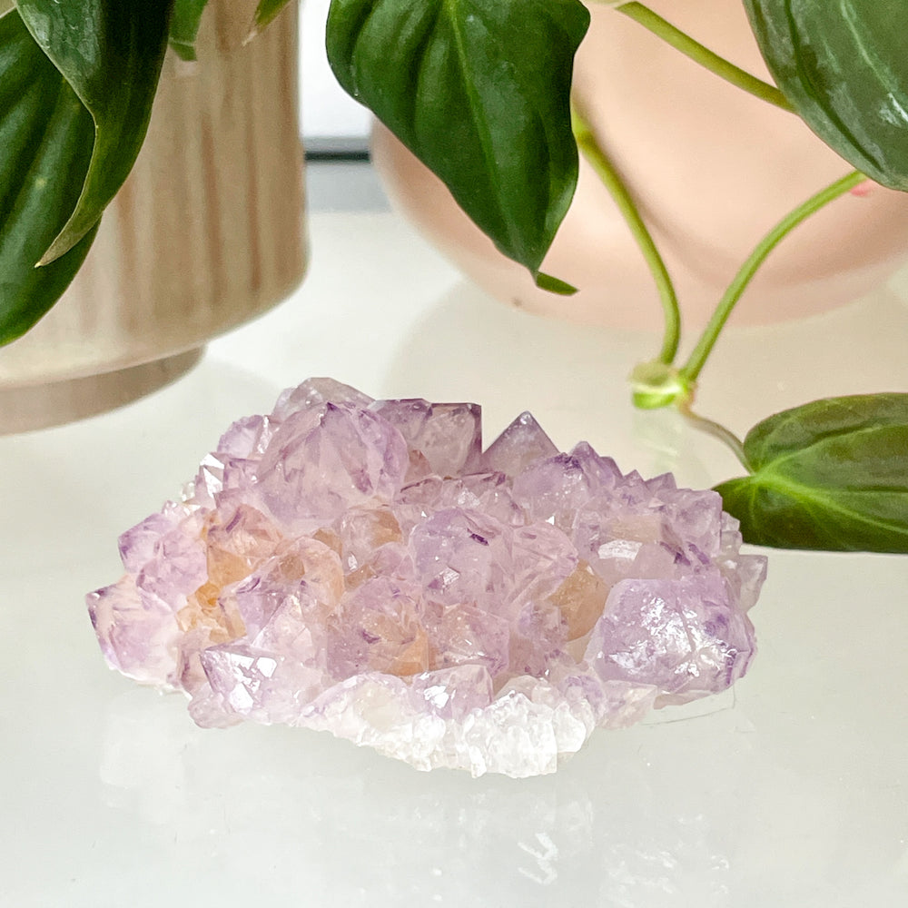 amethist cactus lila spirit quartz kwarts edelsteen mineralen ruwe steen cluster