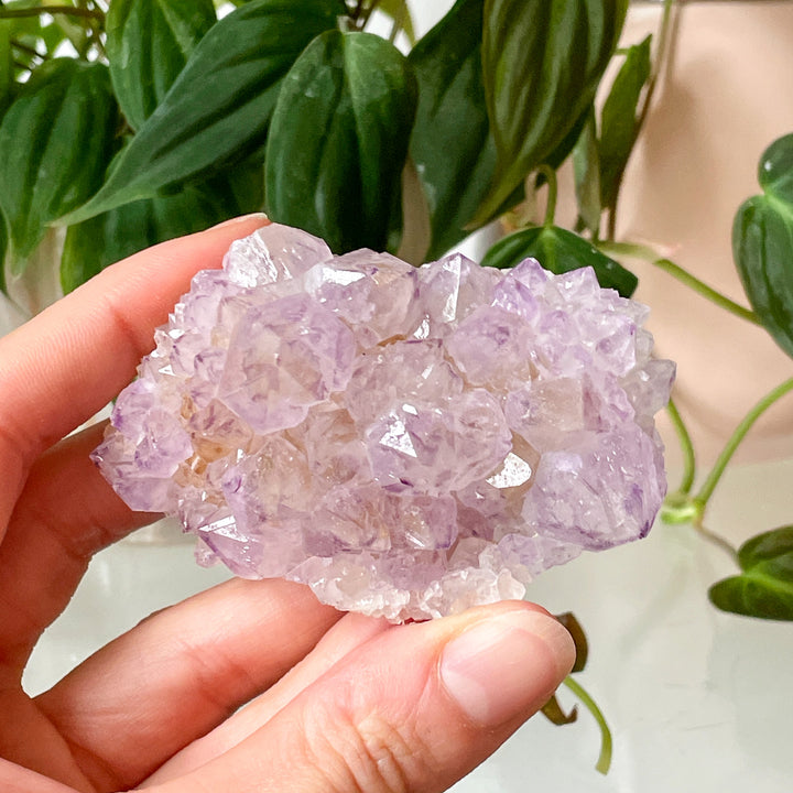 amethist cactus lila spirit quartz kwarts edelsteen mineralen ruwe steen cluster