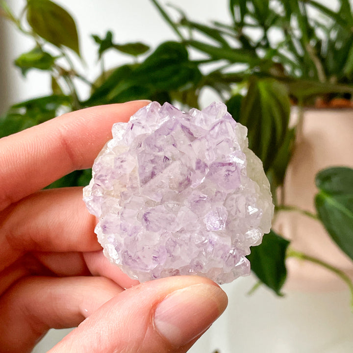 amethist cactus lila spirit quartz kwarts edelsteen mineralen ruwe steen cluster