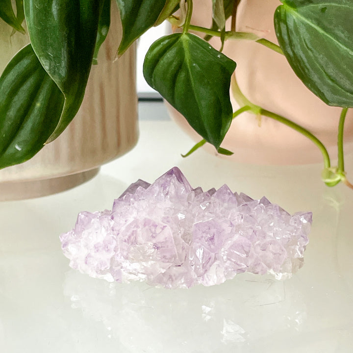 amethist cactus lila spirit quartz kwarts edelsteen mineralen ruwe steen cluster
