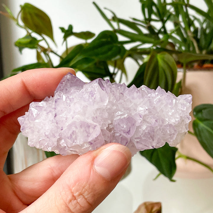 amethist cactus lila spirit quartz kwarts edelsteen mineralen ruwe steen cluster