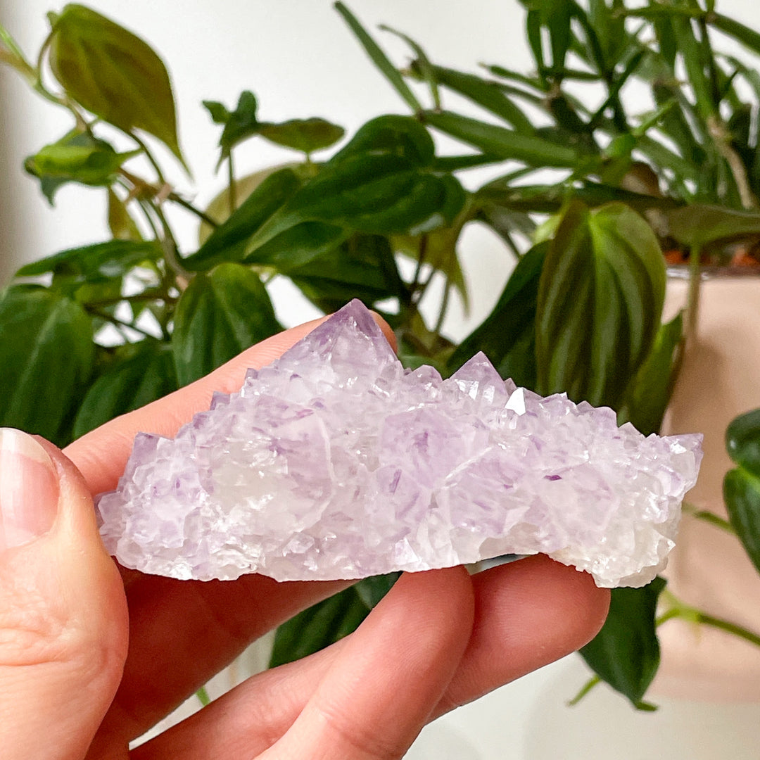 amethist cactus lila spirit quartz kwarts edelsteen mineralen ruwe steen cluster