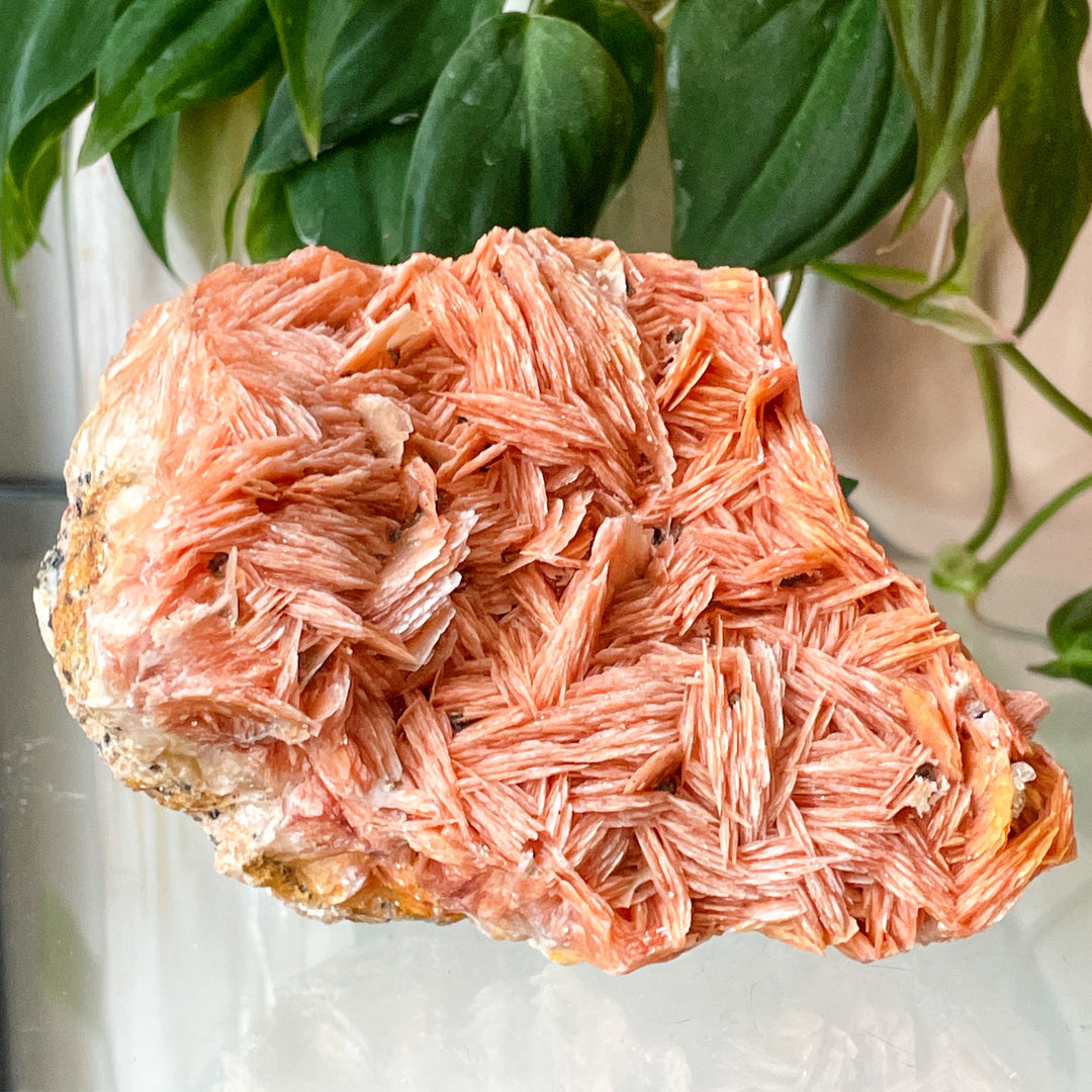 bariet oranje cluster ruwe steen brok mineralen edelsteen edelstenen