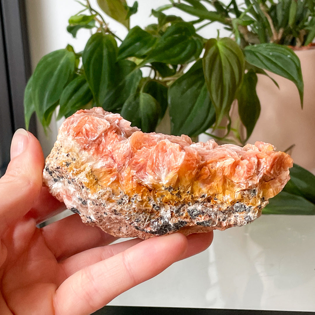 bariet oranje cluster ruwe steen brok mineralen edelsteen edelstenen