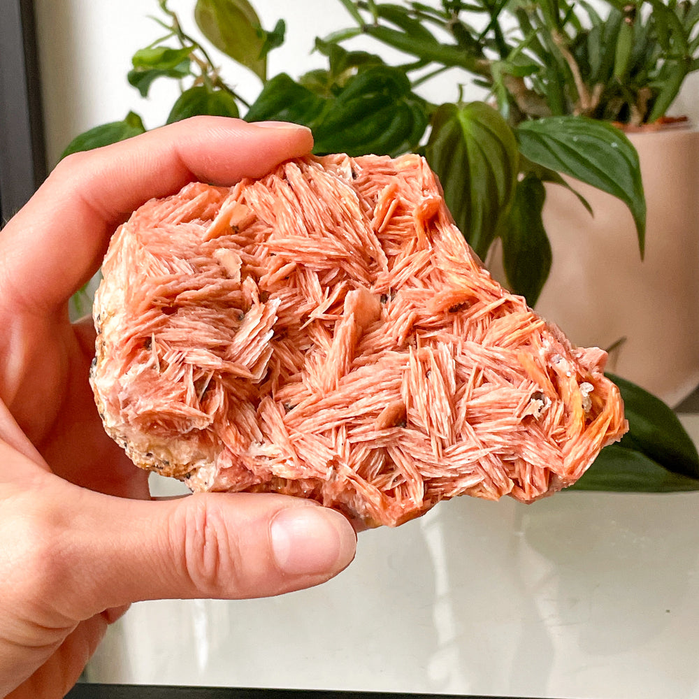 bariet oranje cluster ruwe steen brok mineralen edelsteen edelstenen