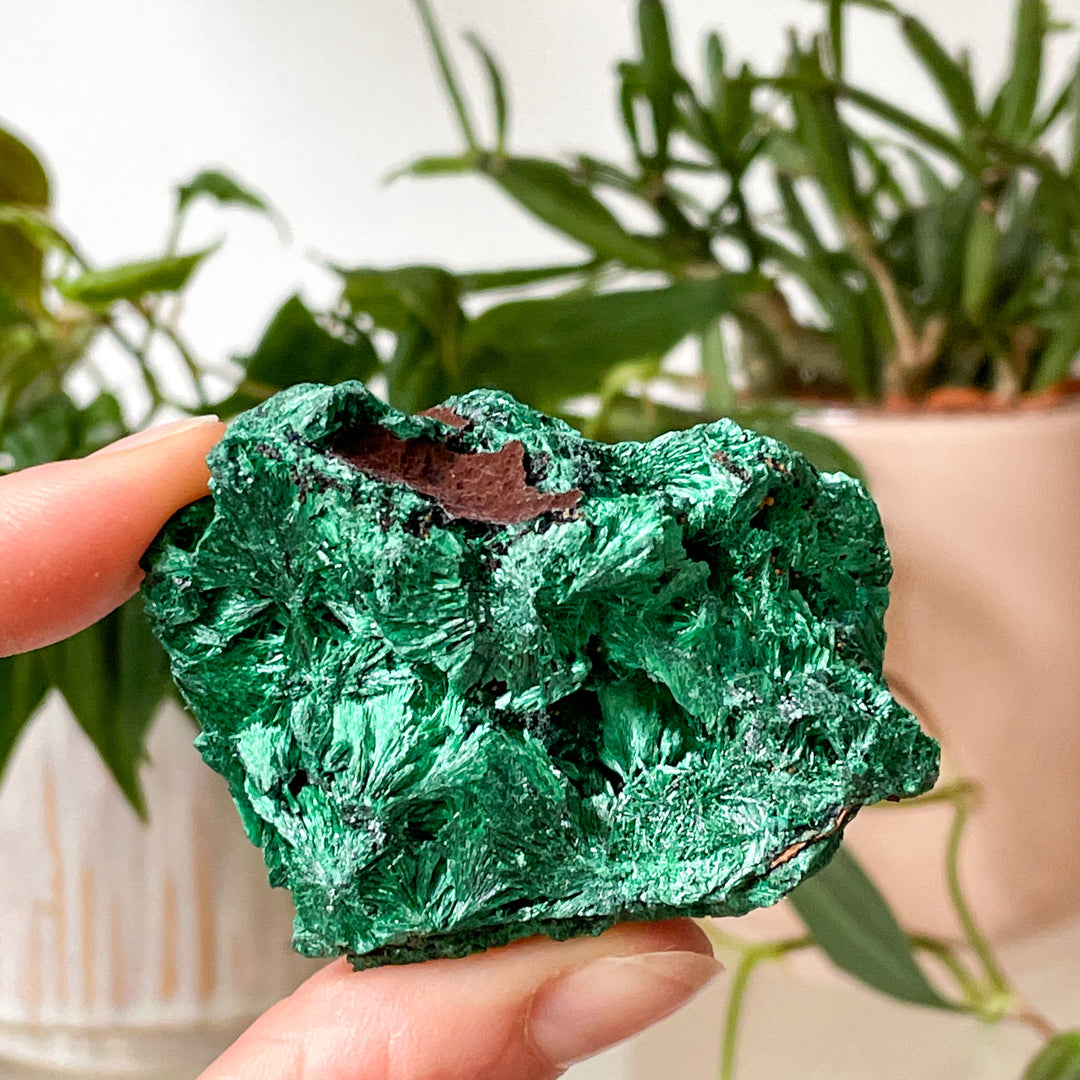 malachiet naaldvormig naalden ruwe steen brok edelsteen cluster mineralen