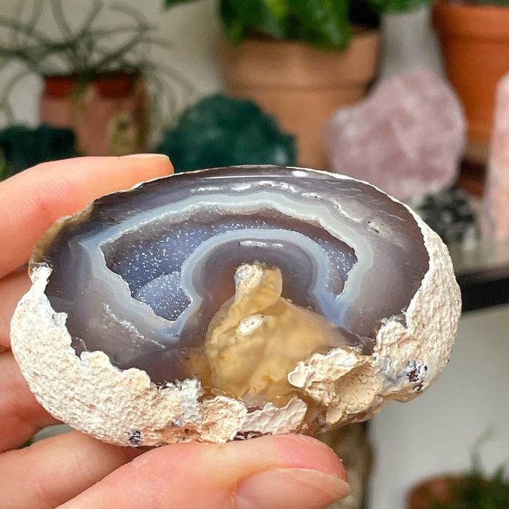 agaat geode sparkling ruwe steen brok edelsteen cluster mineralen