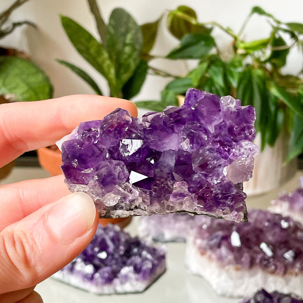 amethist paarse cluster ruwe steen brok mineralen edelsteen edelstenen