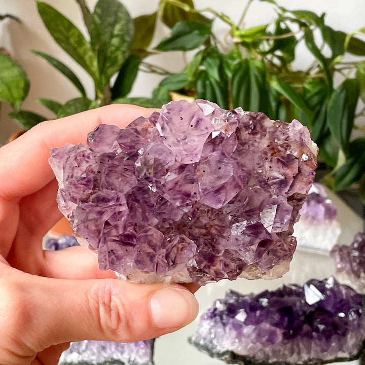 amethist paarse cluster ruwe steen brok mineralen edelsteen edelstenen