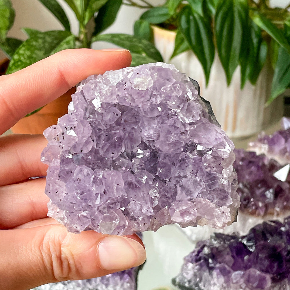 amethist paarse cluster ruwe steen brok mineralen edelsteen edelstenen