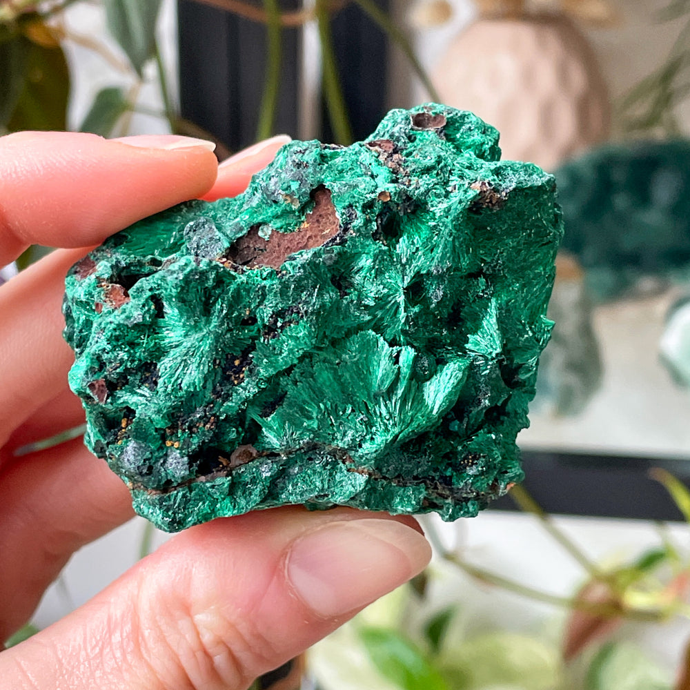 malachiet naaldvormig naalden ruwe steen brok edelsteen cluster mineralen