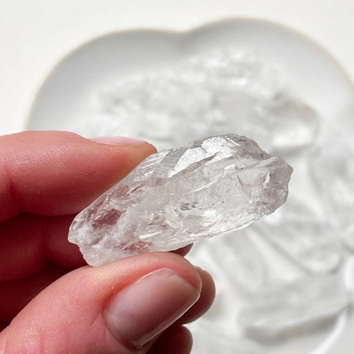 lemurisch zaadkristal wortel ruwe brok steen edelstenen mineralen lemurian
