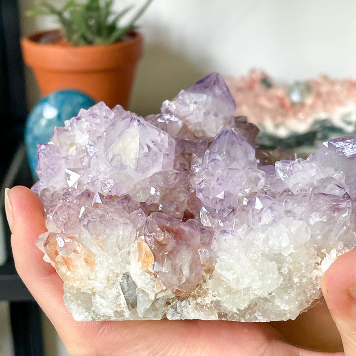 spirit kwarts cactus amethist cluster ruwe brok steen edelsteen mineralen