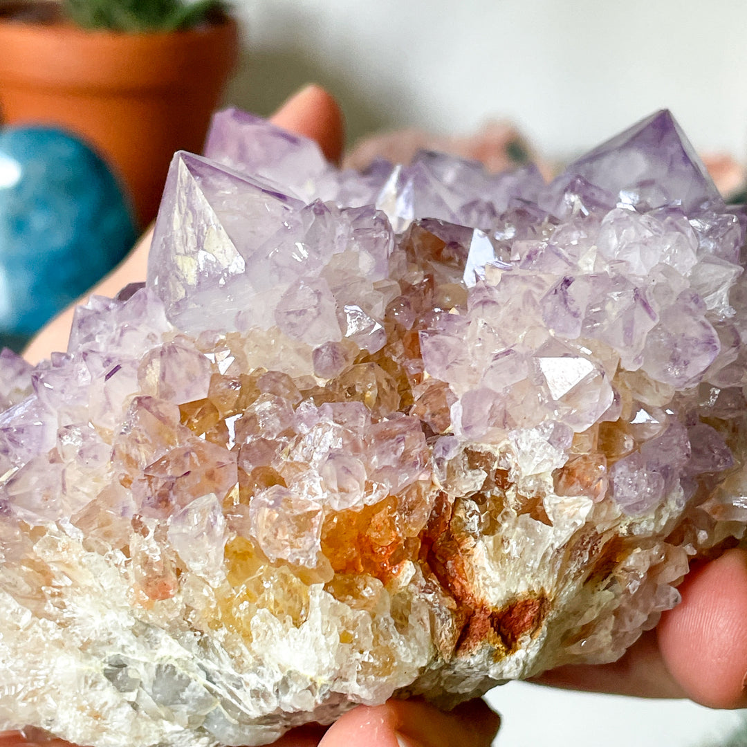 spirit kwarts cactus amethist cluster ruwe brok steen edelsteen mineralen