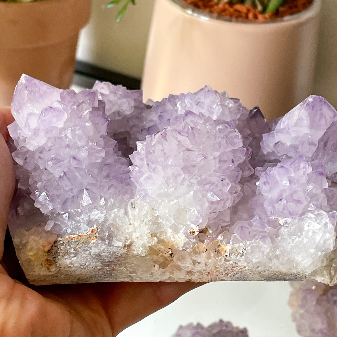 amethist cactus lila spirit quartz kwarts edelsteen mineralen ruwe steen cluster