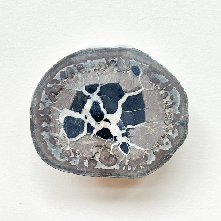septarie bruine zwarte geode gepolijst ruwe steen edelstenen mineralen fossiel