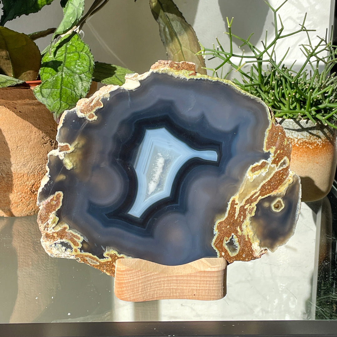 agaat schijf theelichthouder naturel schijf hout houder kaarshouder sfeerlicht kaarsen decoratie