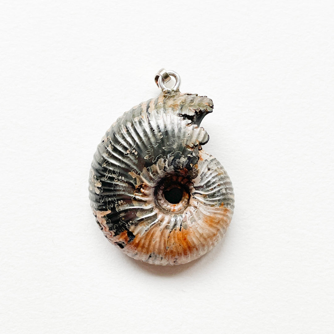 ammoniet pyriet premium edelsteen hanger 925 sterling zilver