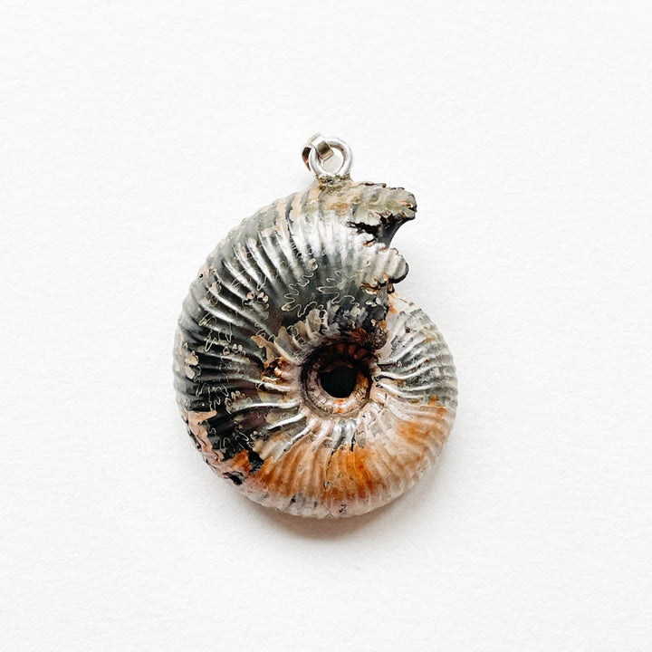 ammoniet pyriet premium edelsteen hanger 925 sterling zilver