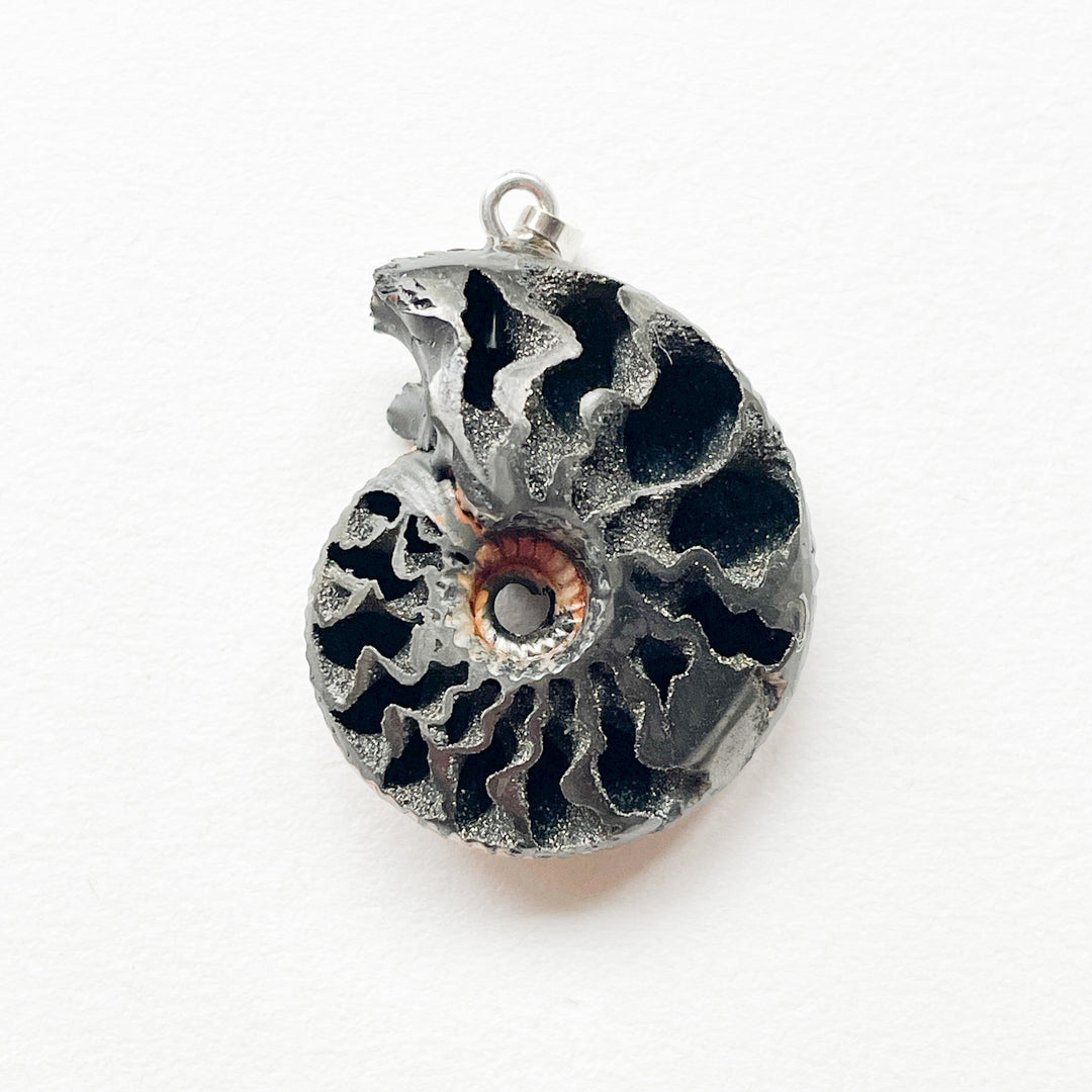 ammoniet pyriet premium edelsteen hanger 925 sterling zilver